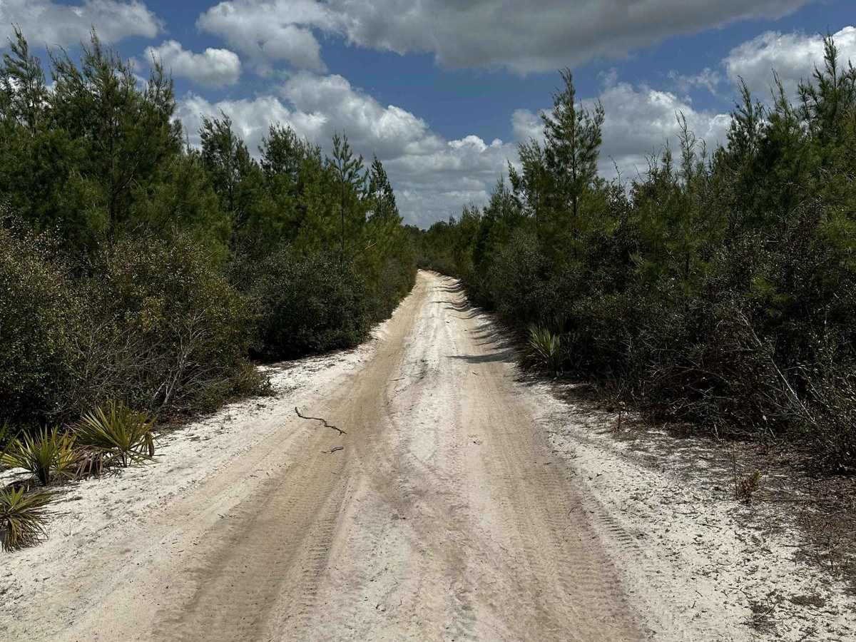 ONF Trail 9-5.2 photo 5