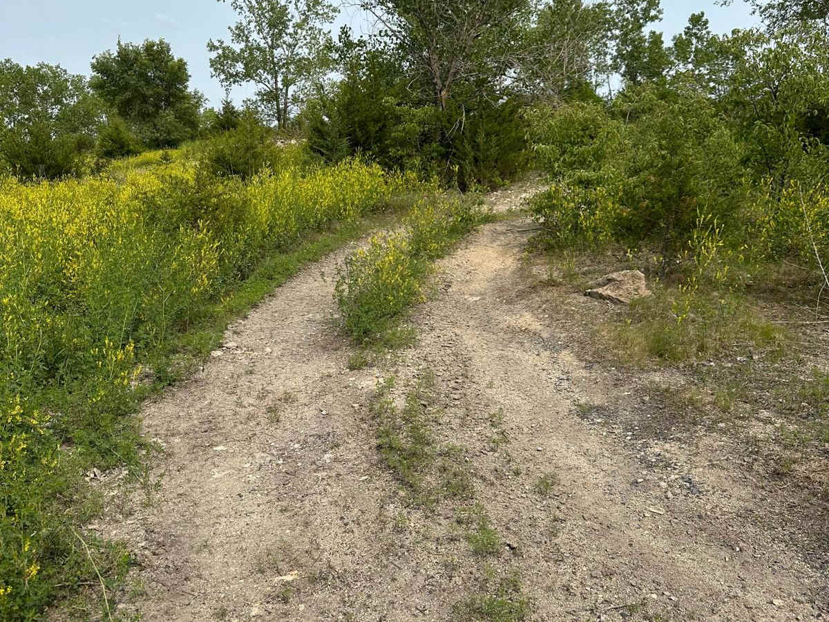Green 26 trail photo