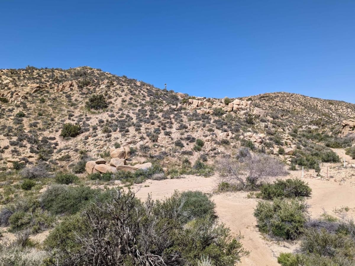 Spur - BLM C2315 trail photo