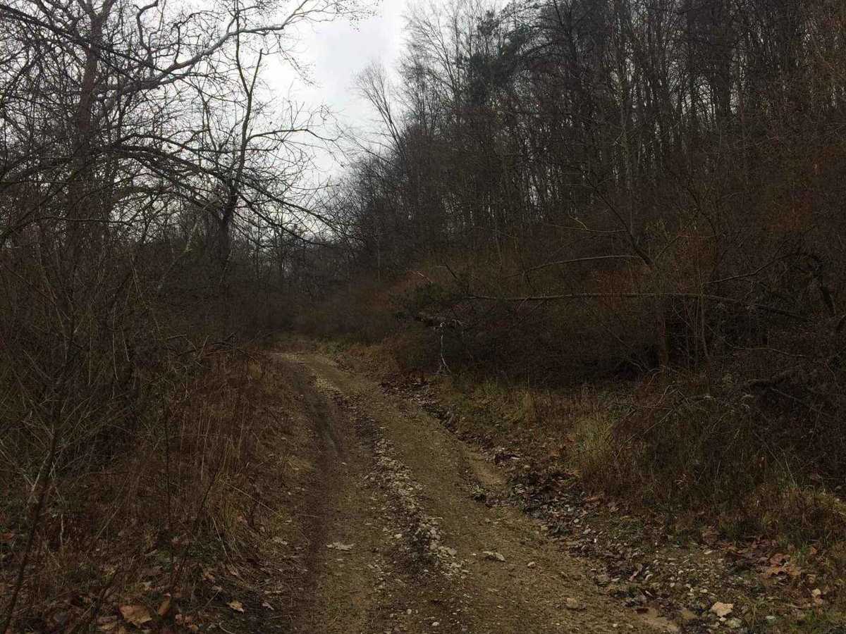 James Road photo 5