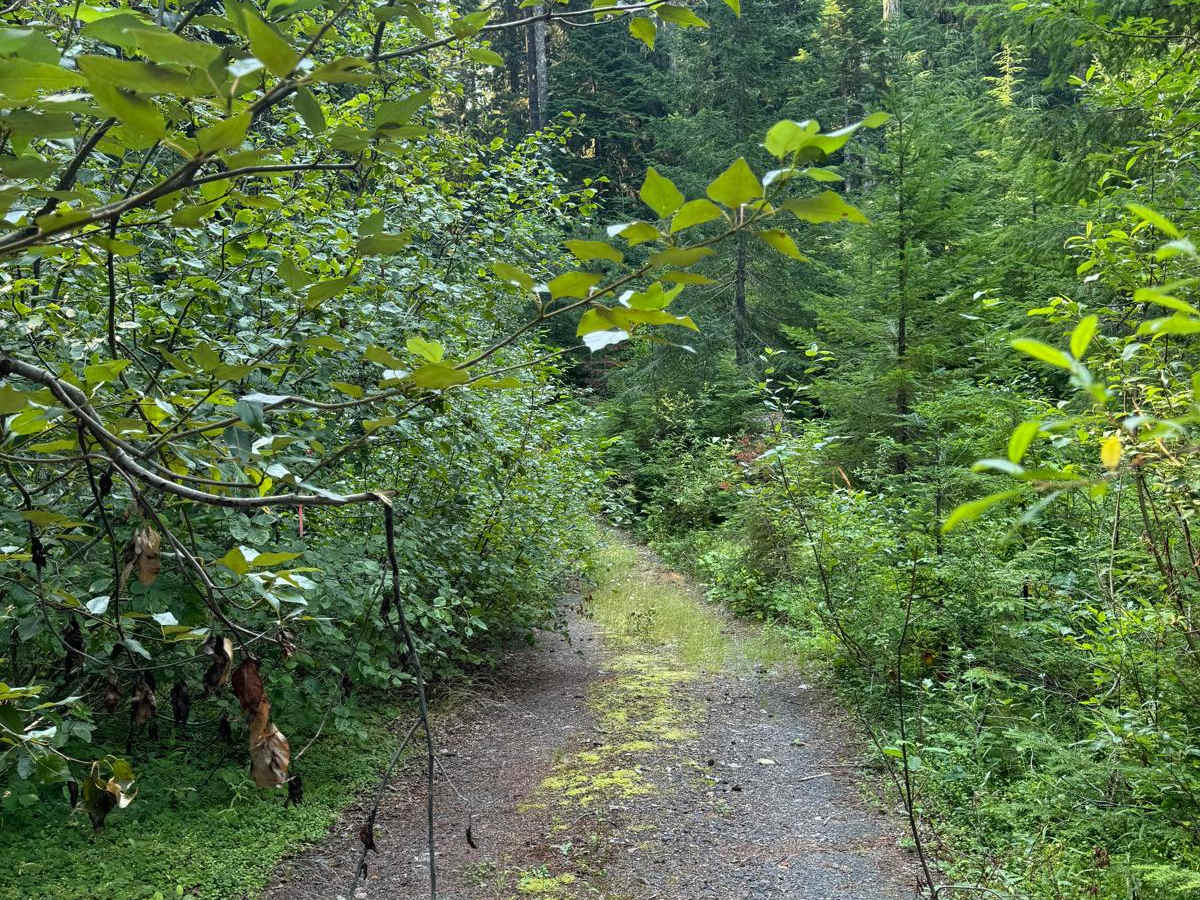 Porcupine Creek photo 2