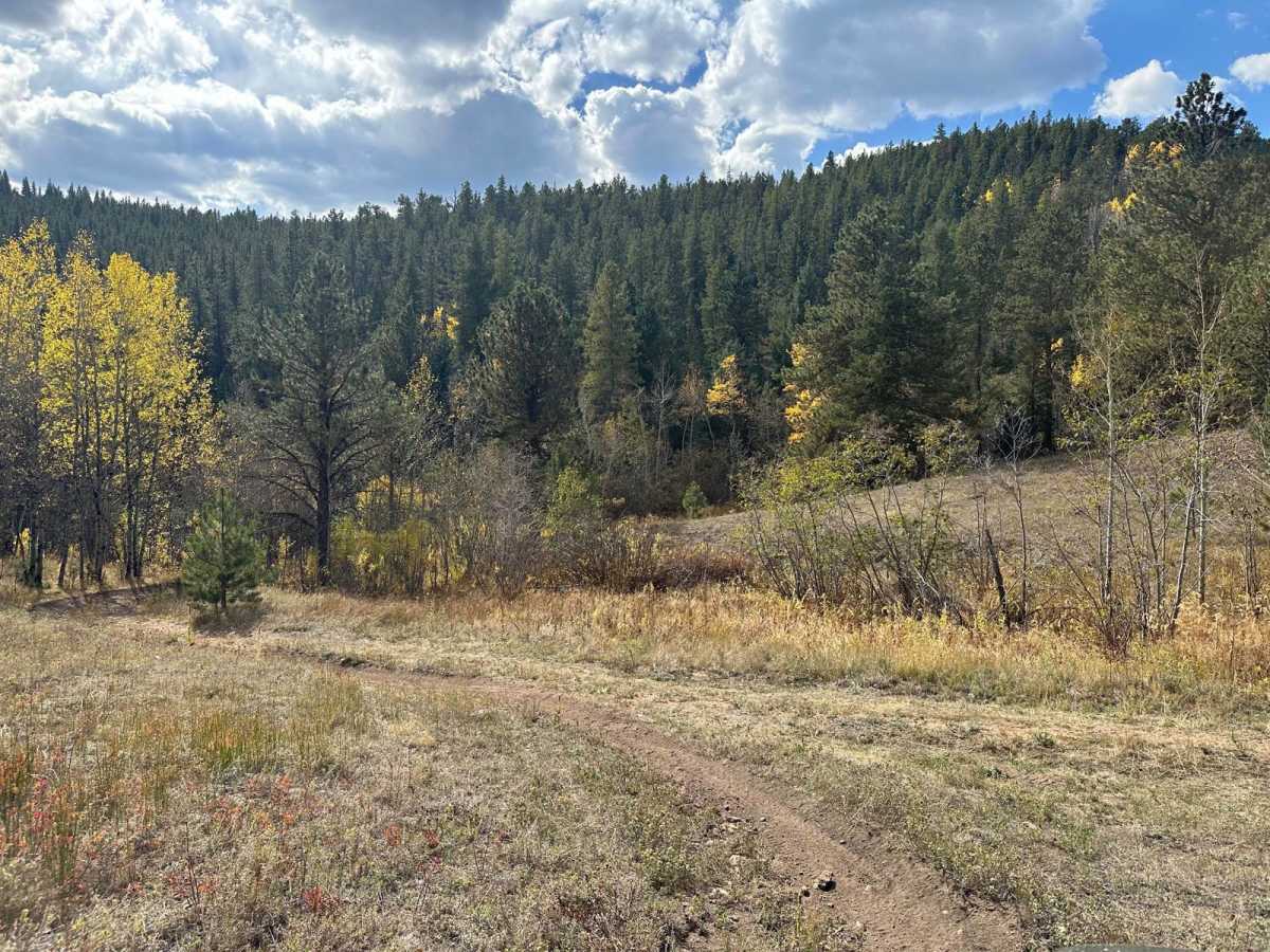 Spring Gulch - 102J trail photo