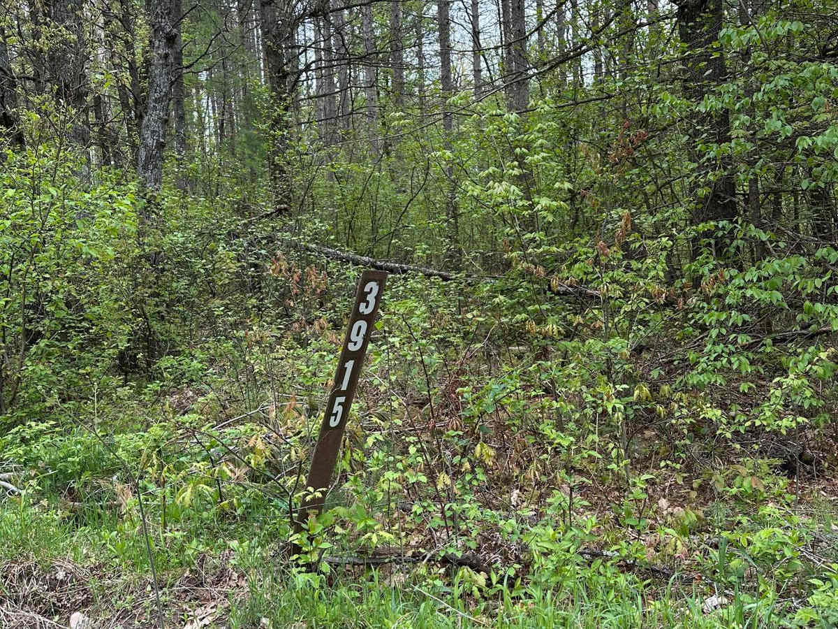 FS 3915 trail photo