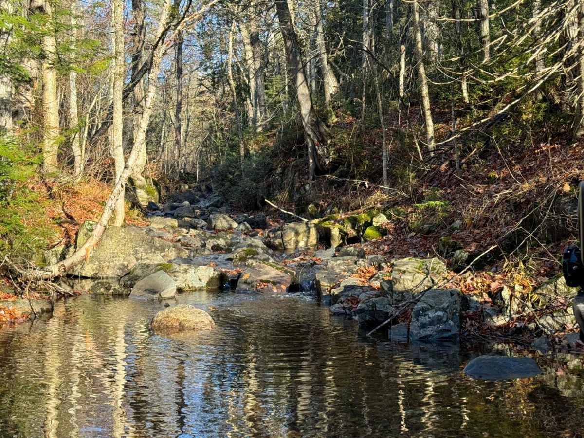 Batchawana Falls Road - Northern Section photo 5