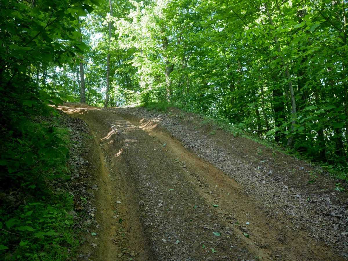 RV43 photo 5
