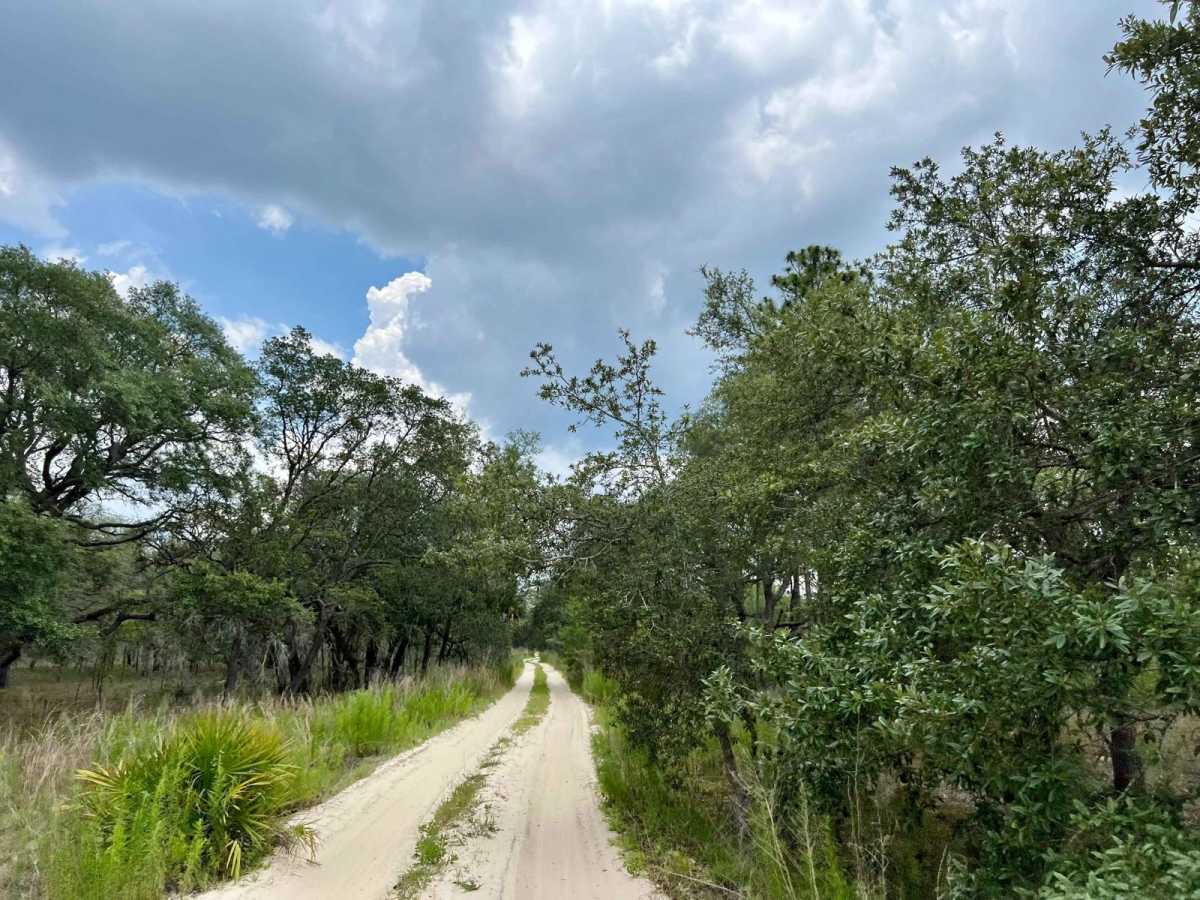 Citrus Wildlife Management | 11B photo 6