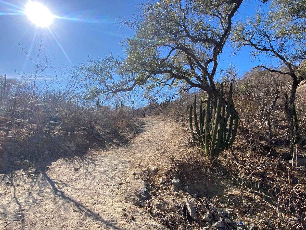 Reserva Sierra Laguna Loop trail photo
