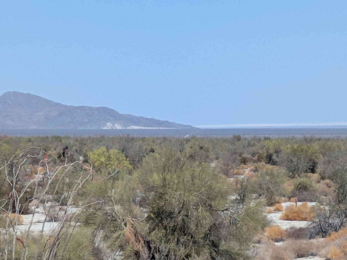 Palo Verde Run photo 2