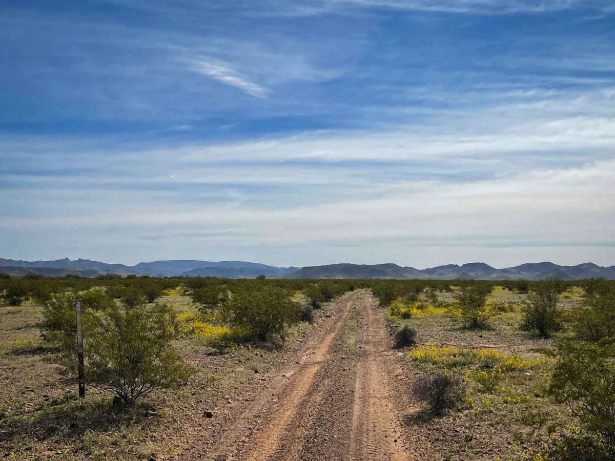 8107 Trail photo 4