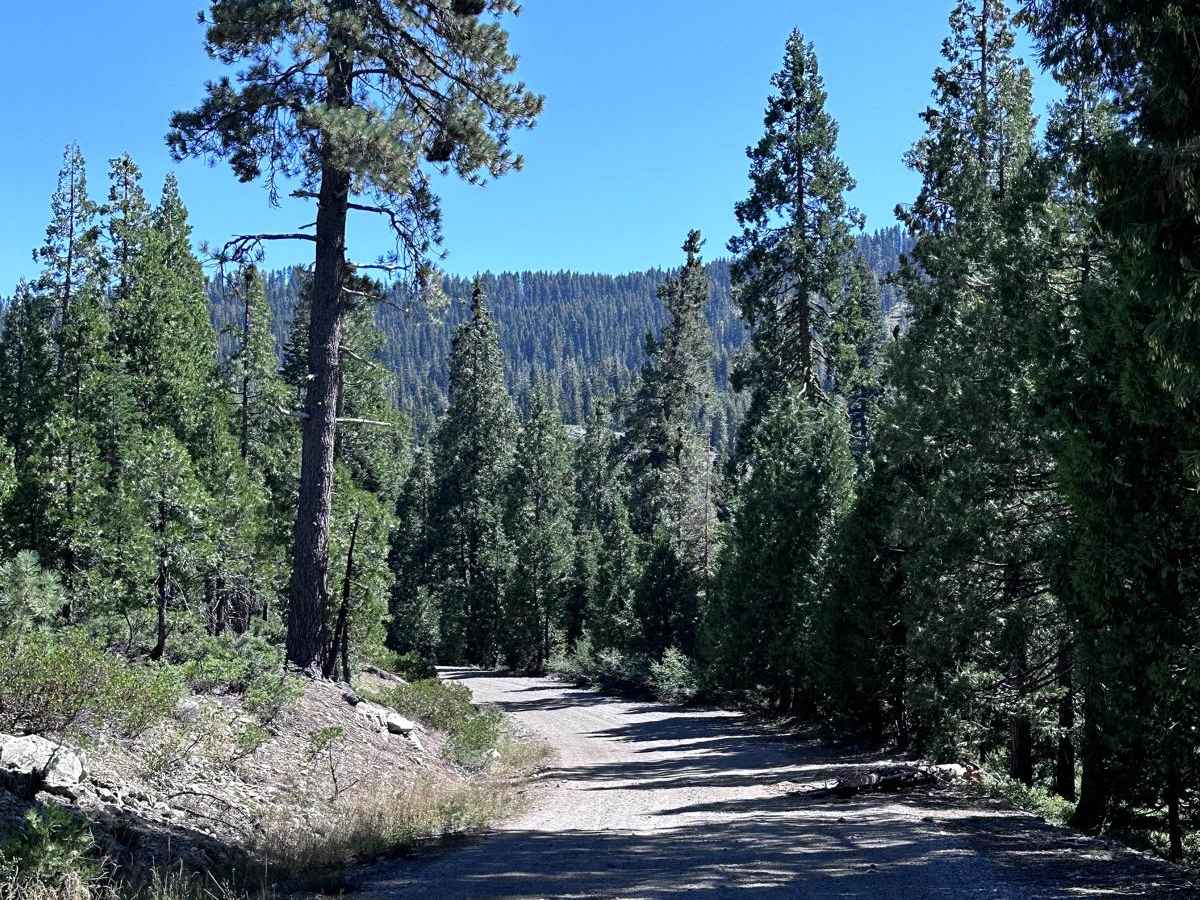Texas Hill Road photo 2