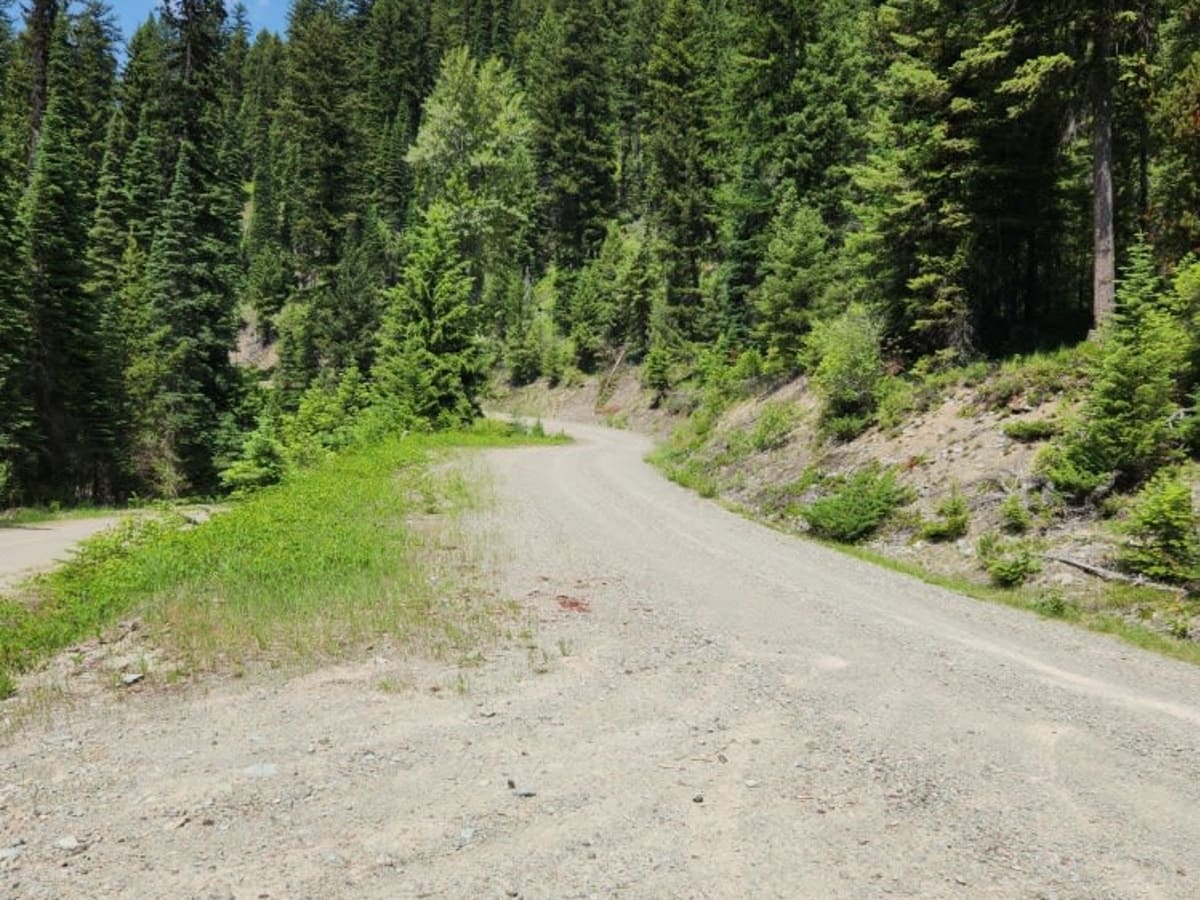 Coal Creek to Dead Horse #317 photo 3