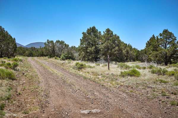 Old 84 Road