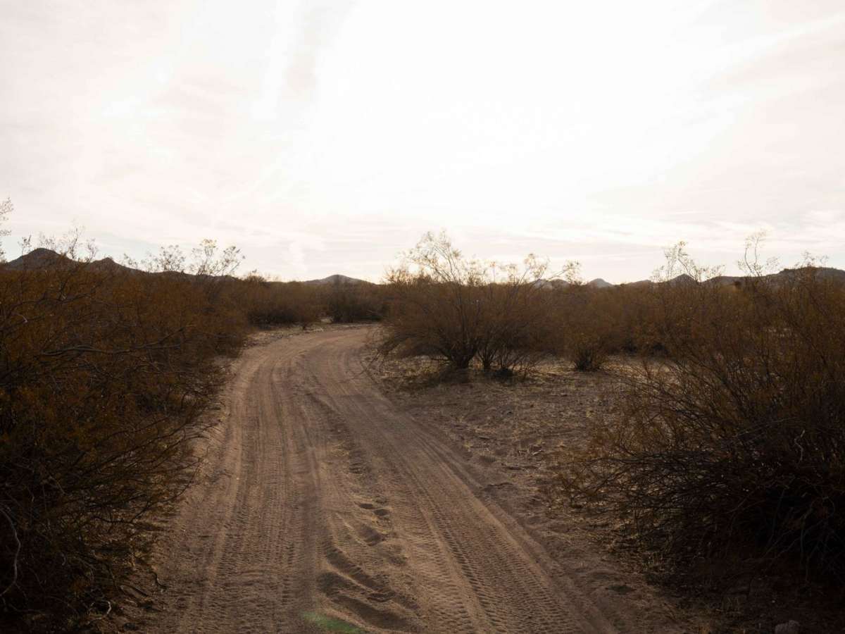 9109B photo 2