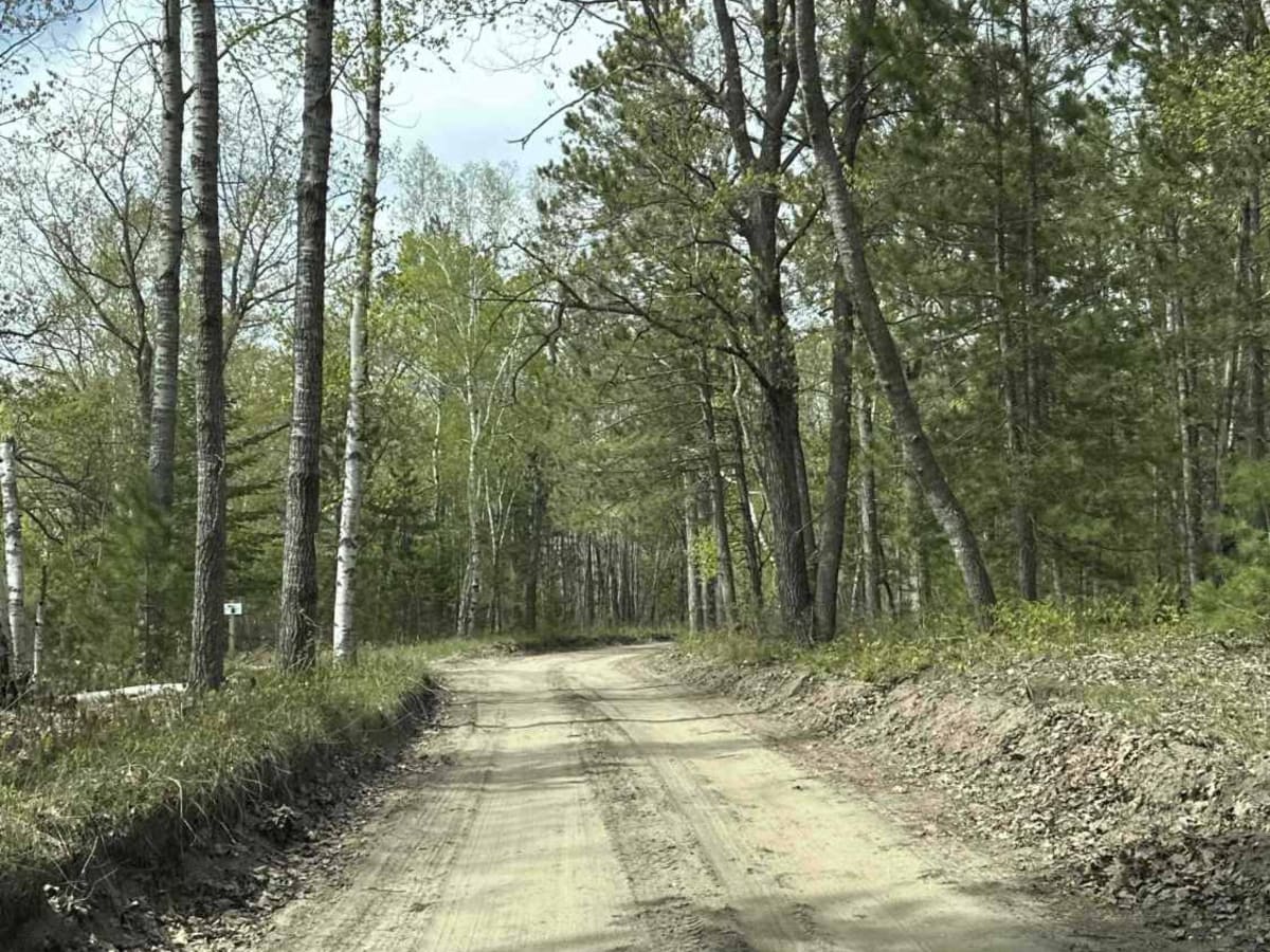 Sand Hill Trail photo 4