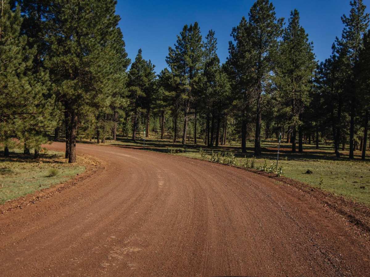 Beale Wagon Road Main photo 6