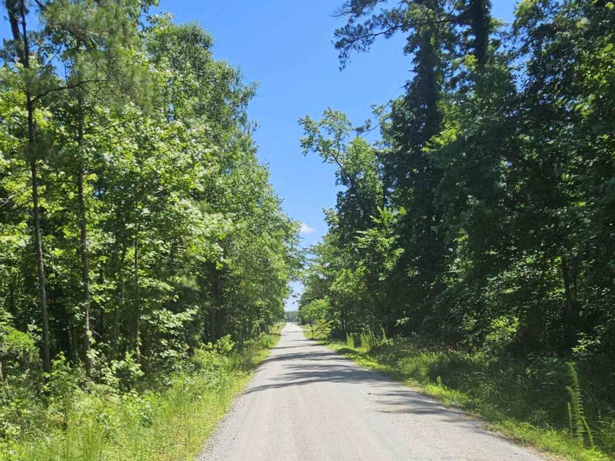 Millis Road (128) photo 6