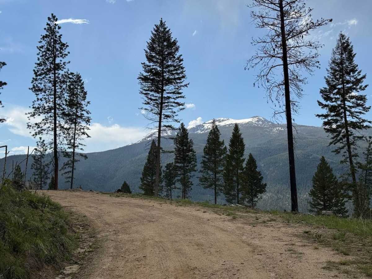 Piquett Ridge photo 6