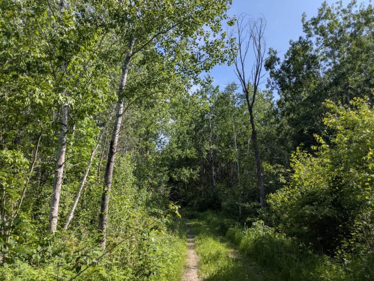 2403 trail photo