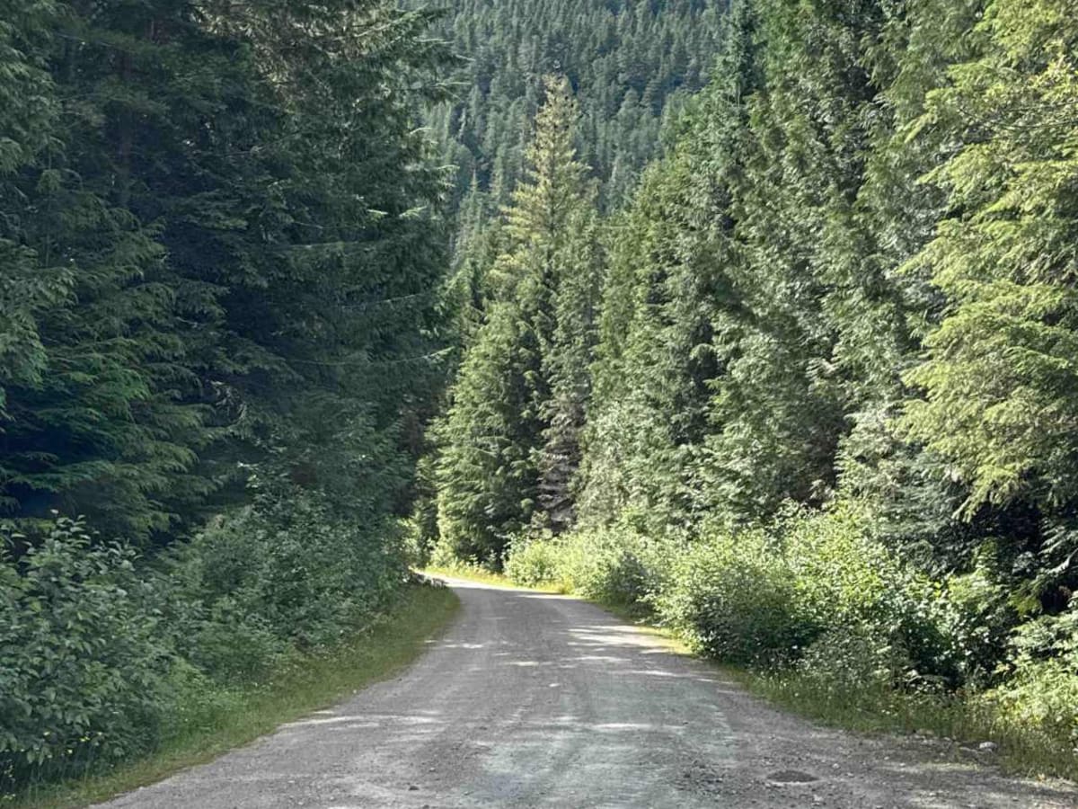 Ratchford Road trail photo