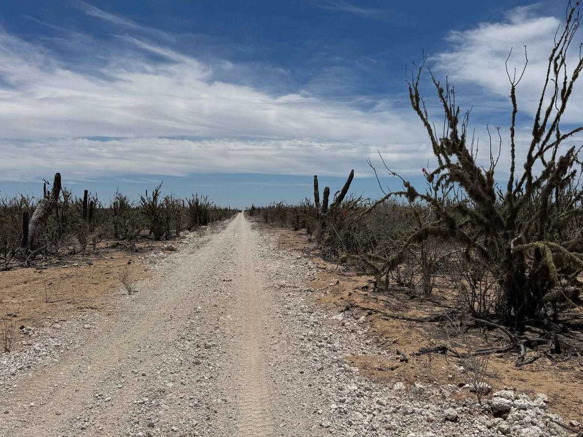 Northeast-Southwest Road trail photo