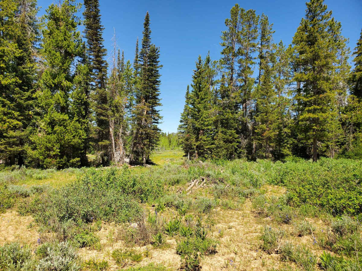 Beaver Green Canyon photo 5