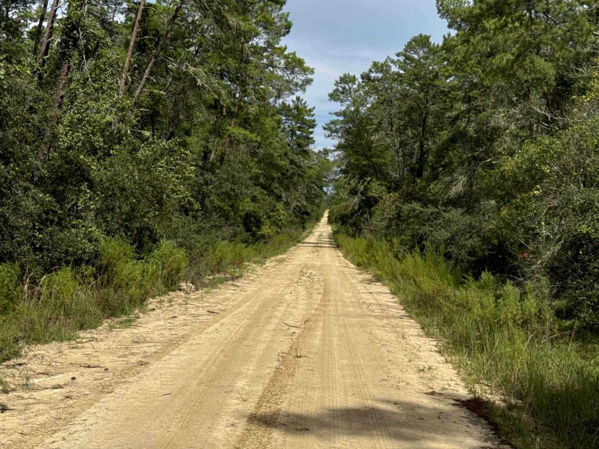 Barbarossa Trail - ONF 54 photo 3