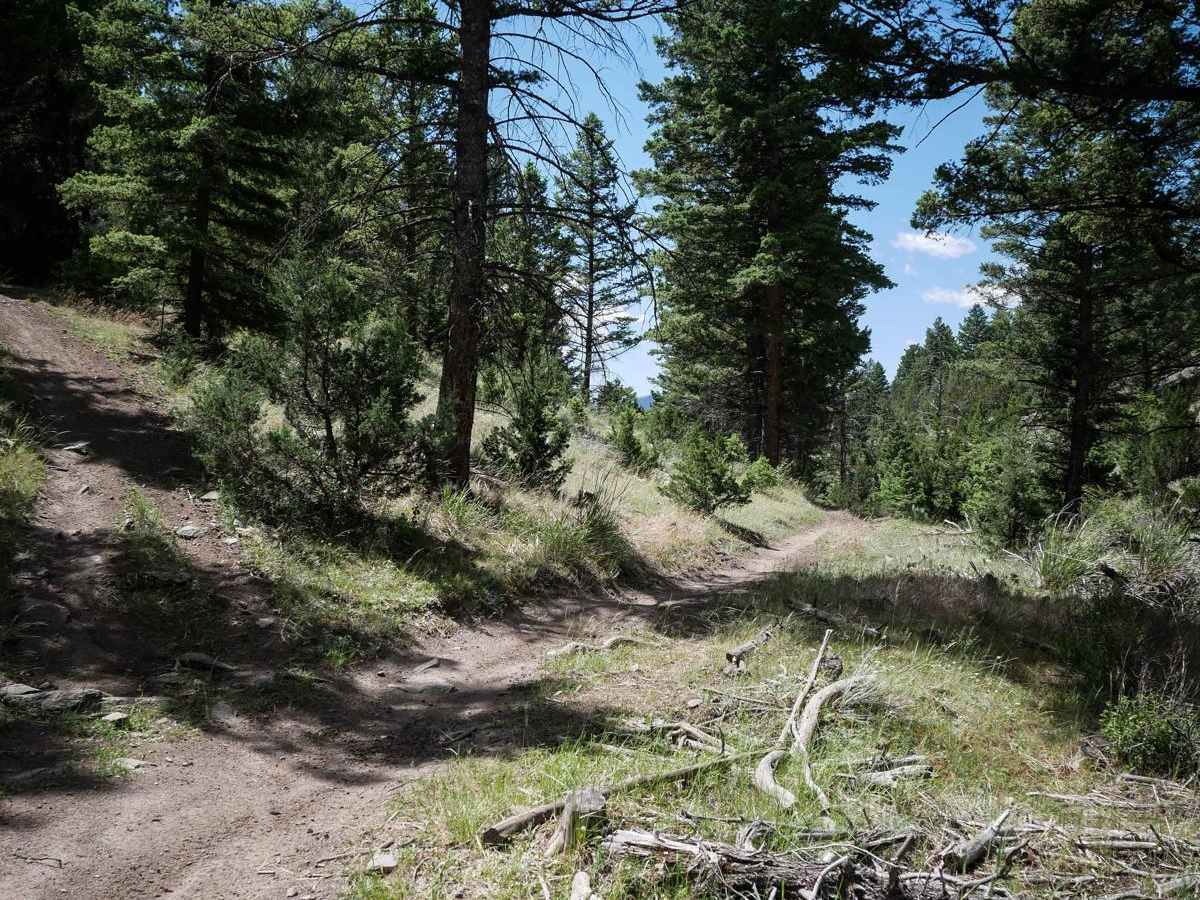 Track Turn trail photo