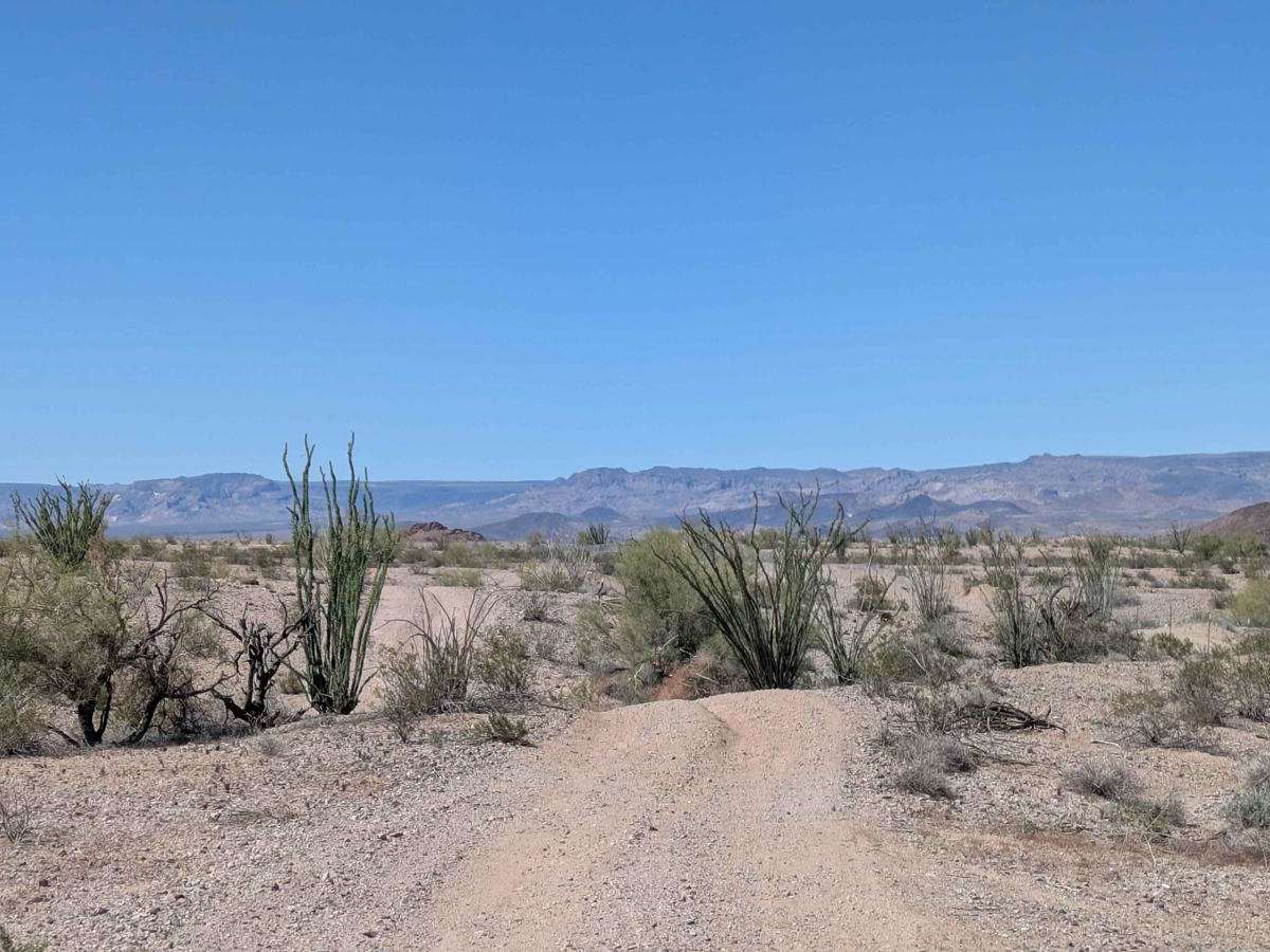 RV Oasis Bypass West photo 6