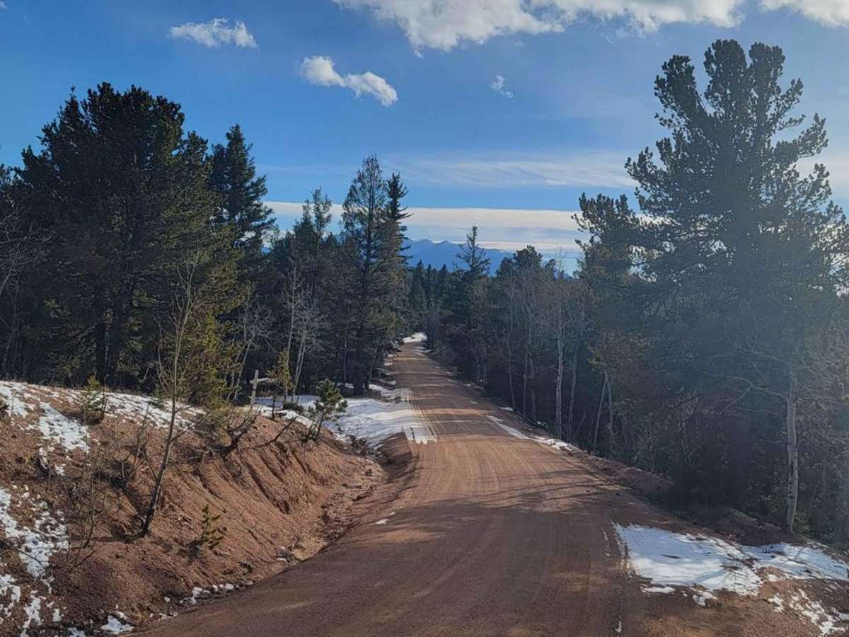 Rampart Range - FR 300 trail photo