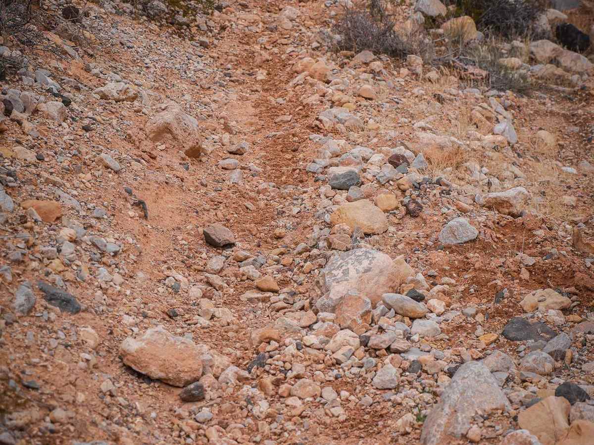 2066 Single Track photo 2