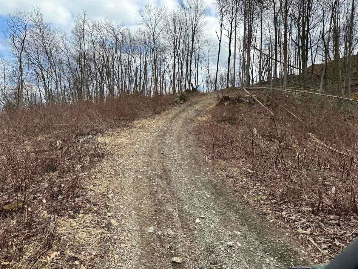 Ashland 62 photo 4