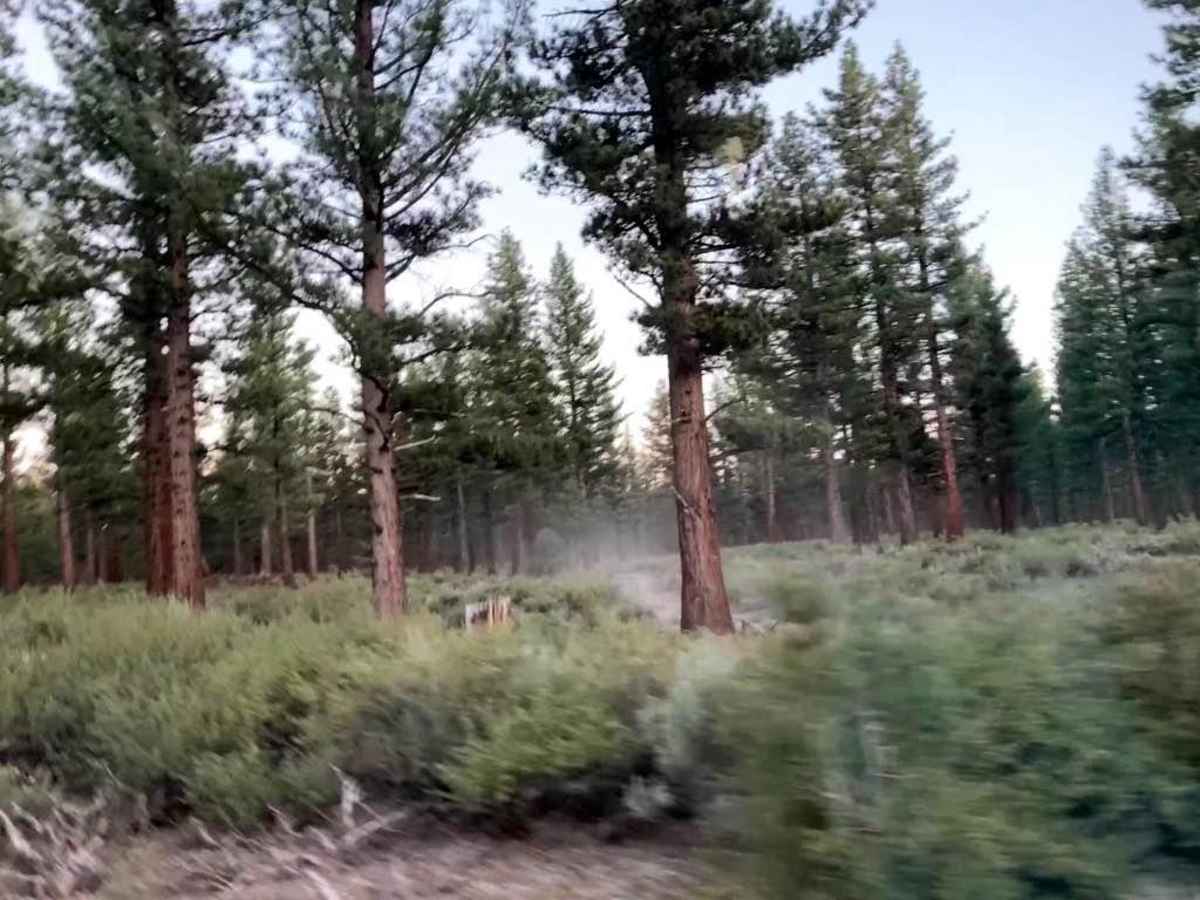 INYO-Face trail photo