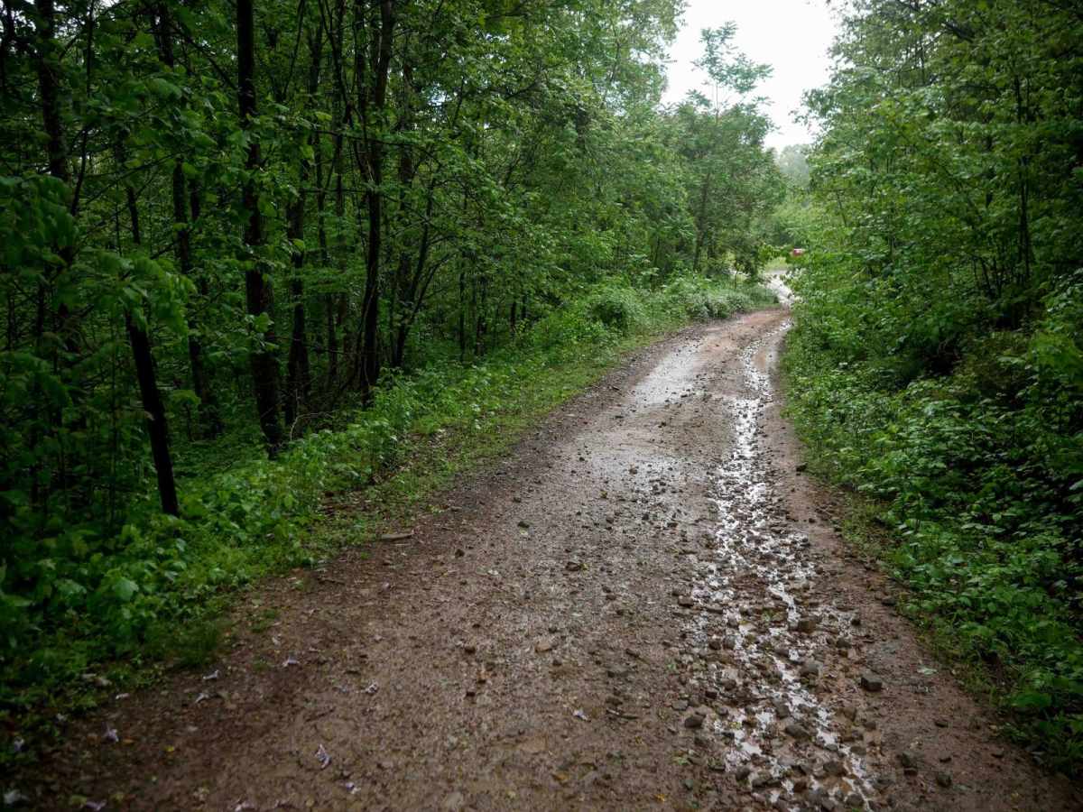 B48 trail photo