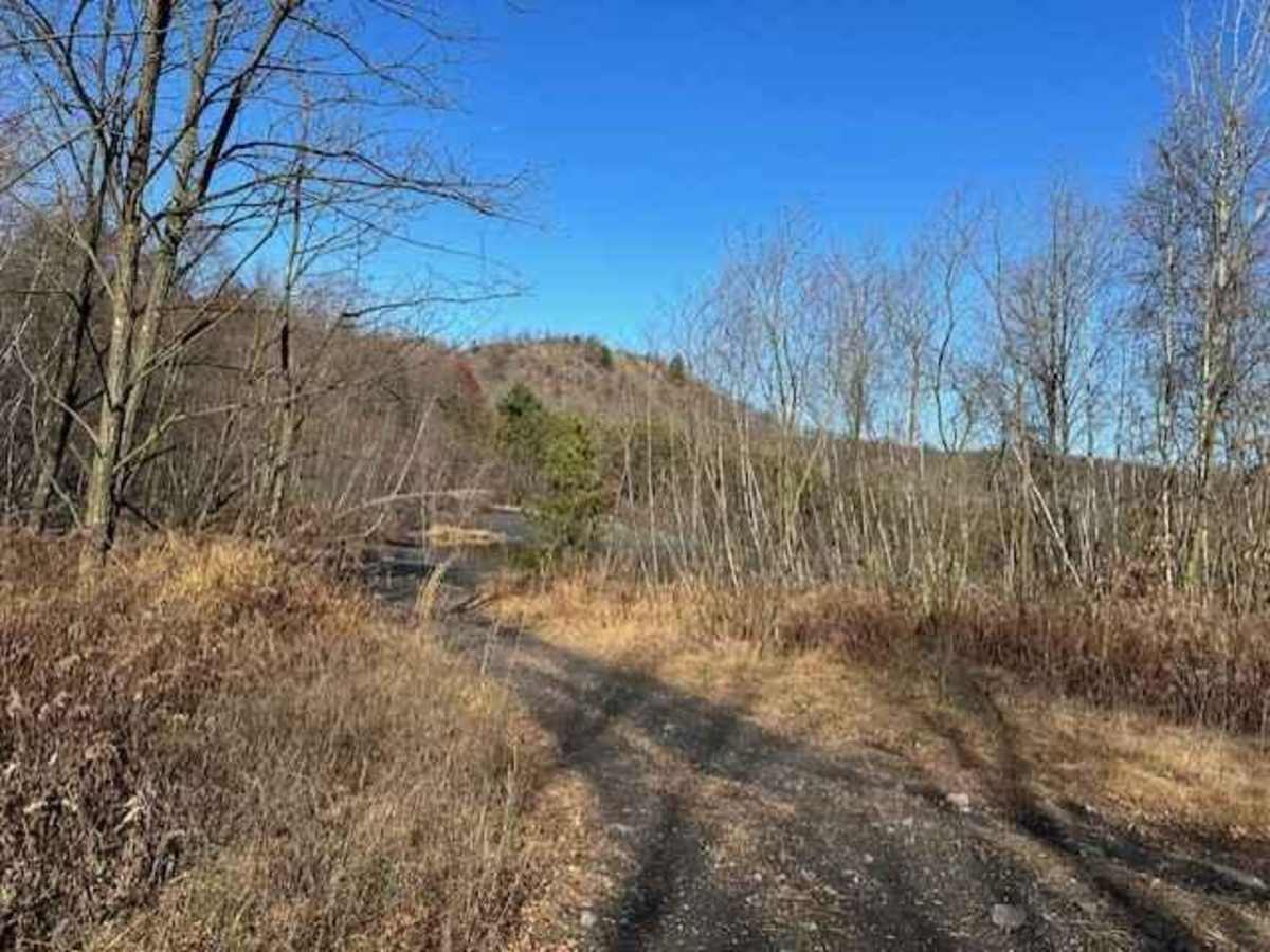 Locust Gap 4 photo 3