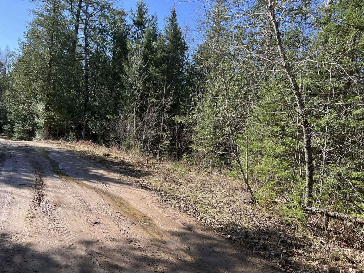 Norway Truck Trail 4 North Loop photo 4