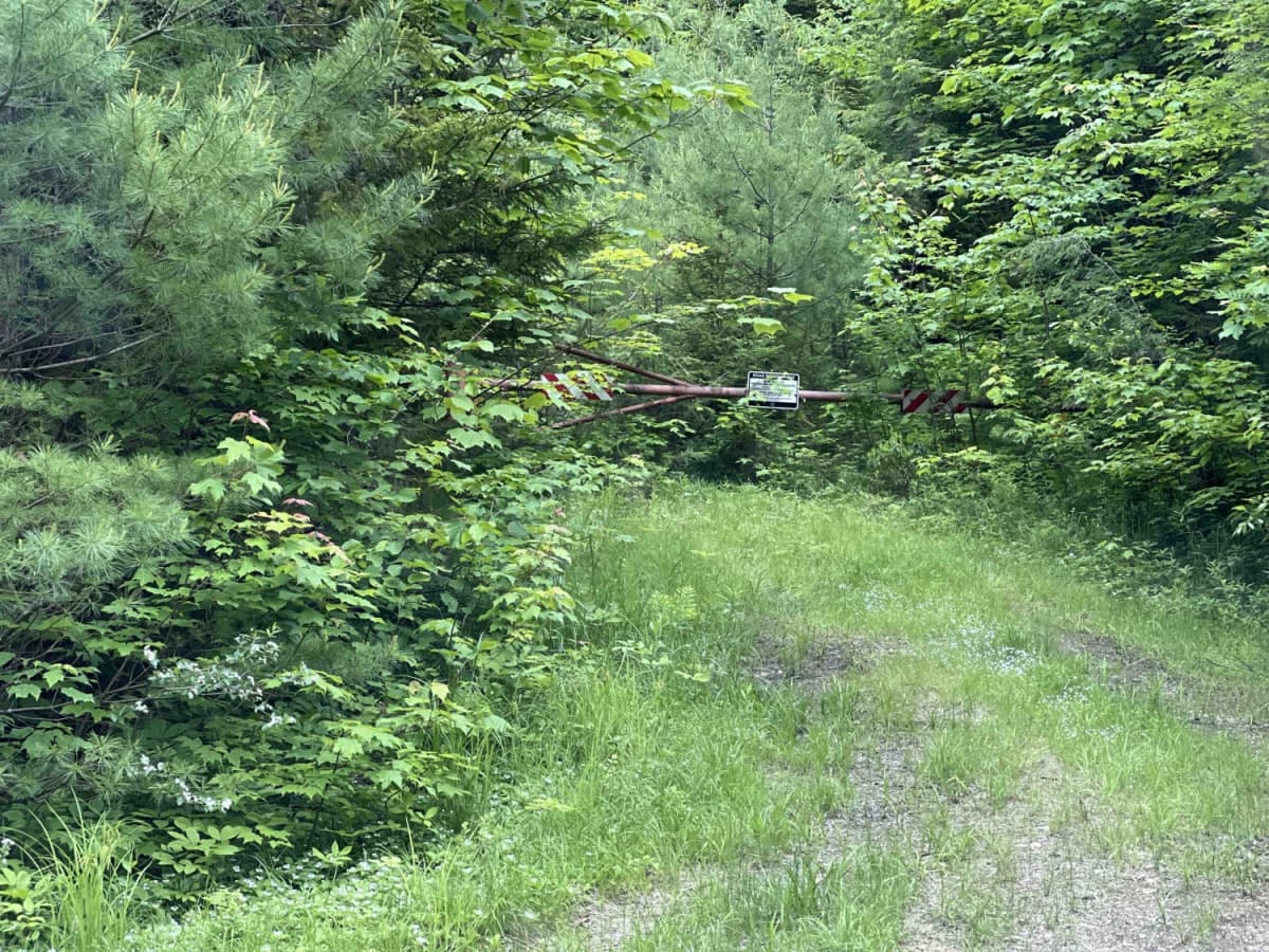 East Branch Saco River photo 5