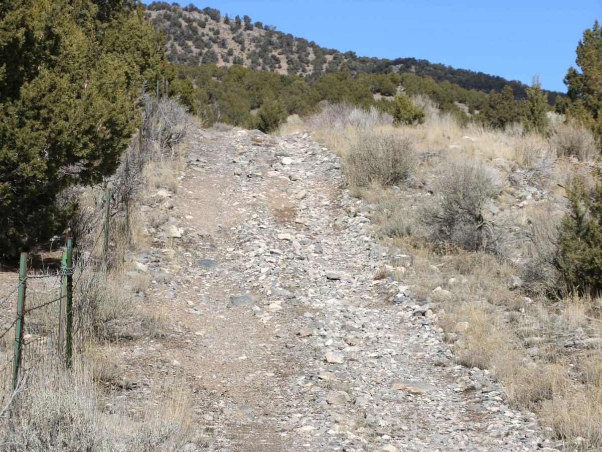 Little Mountain Loop photo 2