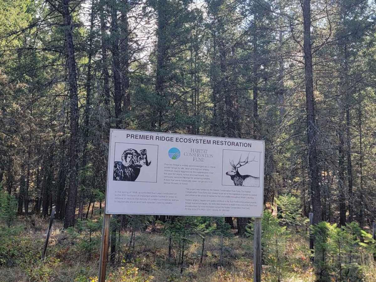 Wasa Sheep Creek Road photo 4