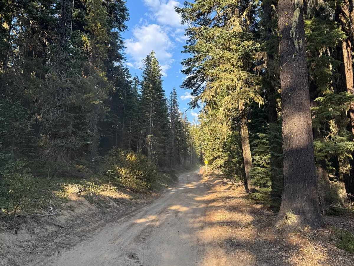 Cinnamon Butte Road photo 5