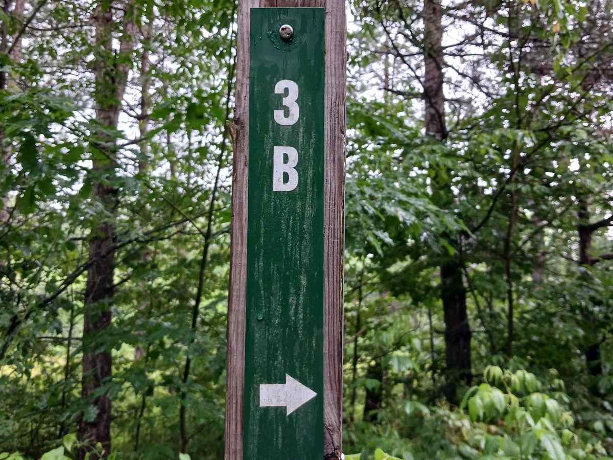 Trail 3B - Rock Run Recreation Area trail photo
