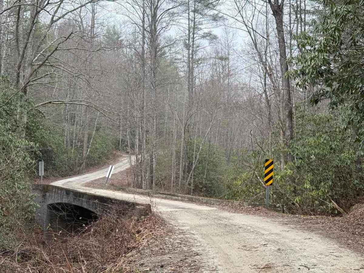 Roseboro Road - FS 981 photo 3