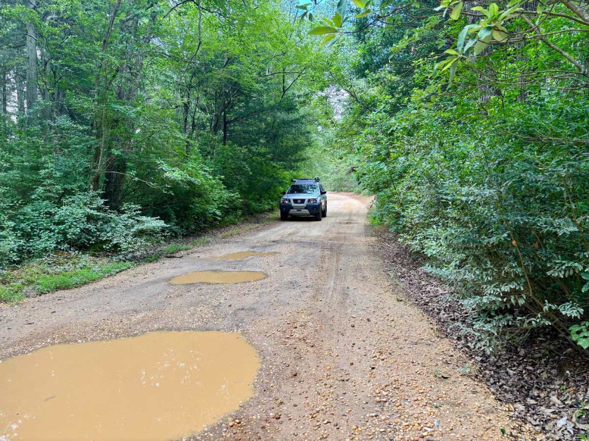 Butler Place Road trail photo