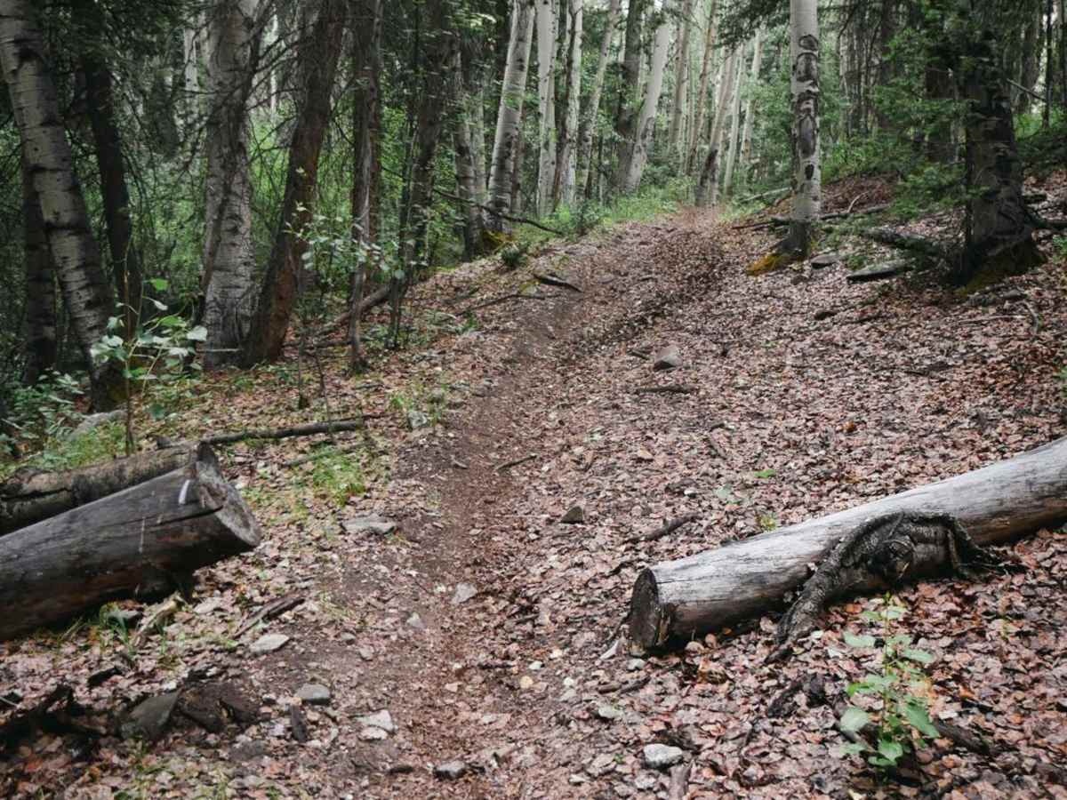 Silver Mountain Trail photo 5