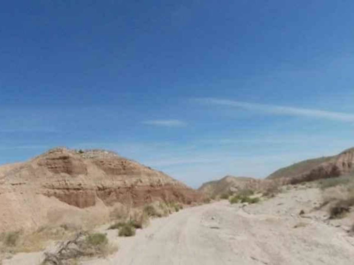 North Fork Palm Wash photo 4
