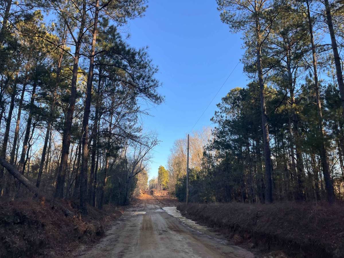 North Fork Road photo 6