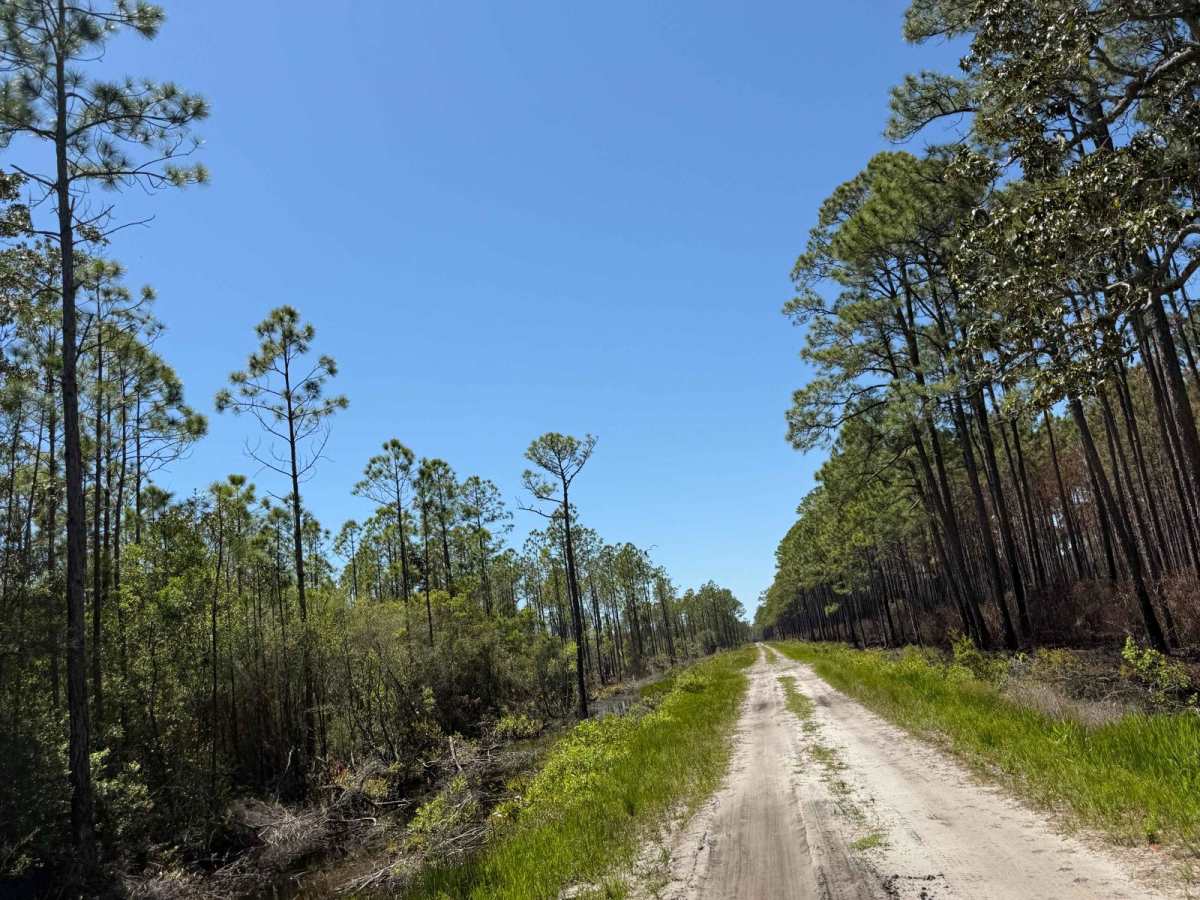 BOTOA Trail photo 5
