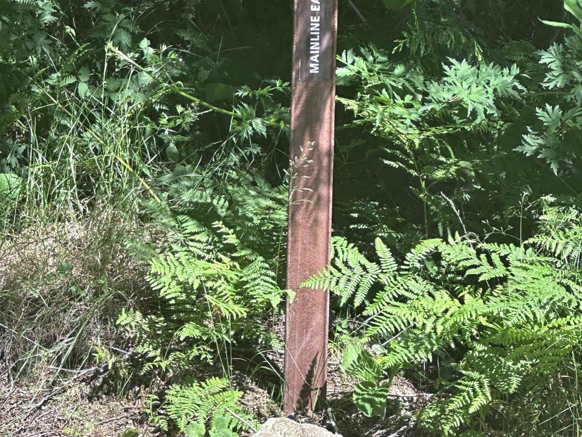 Mainline Easy trail photo