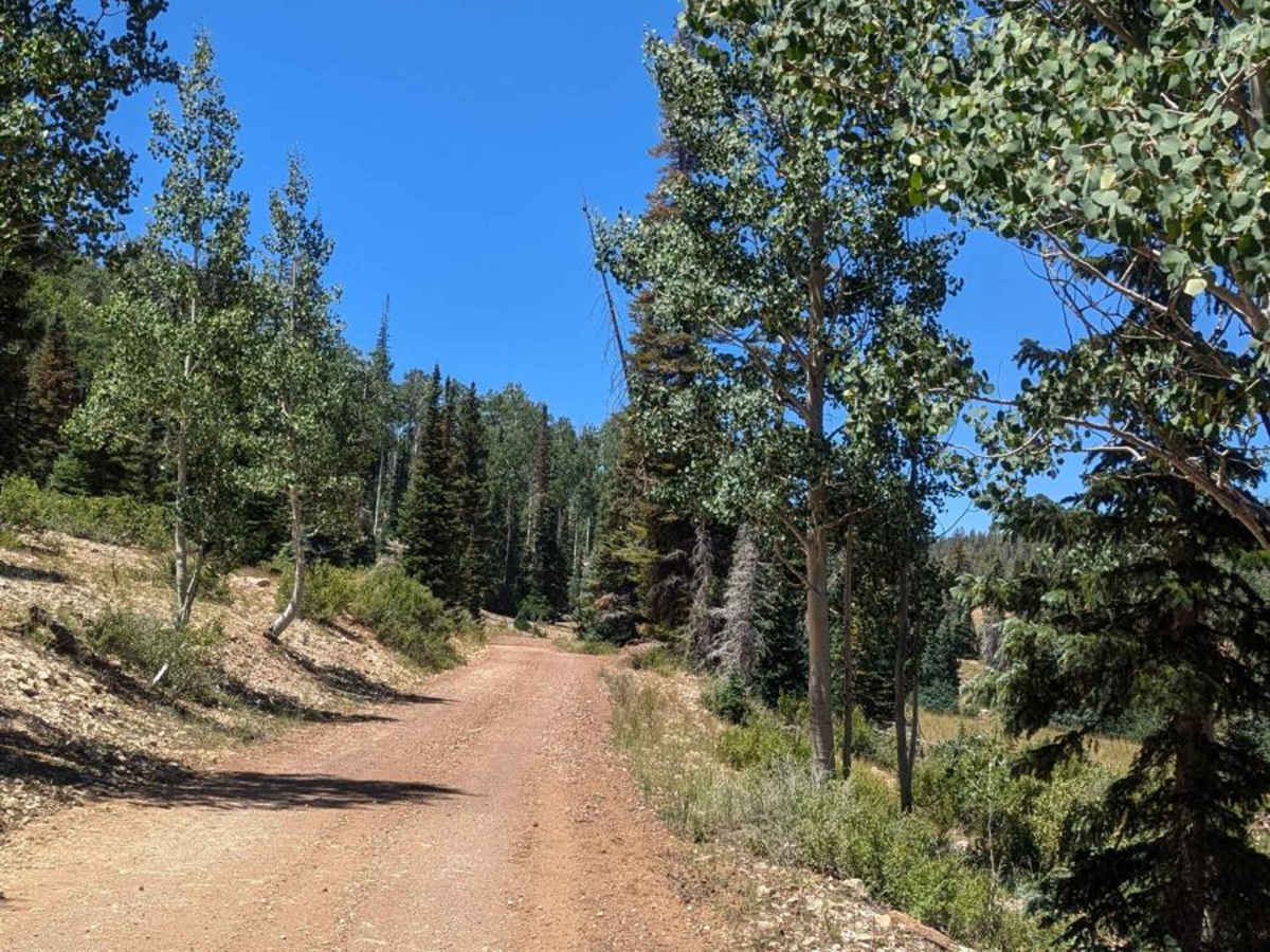 Deer Valley Loop photo 3