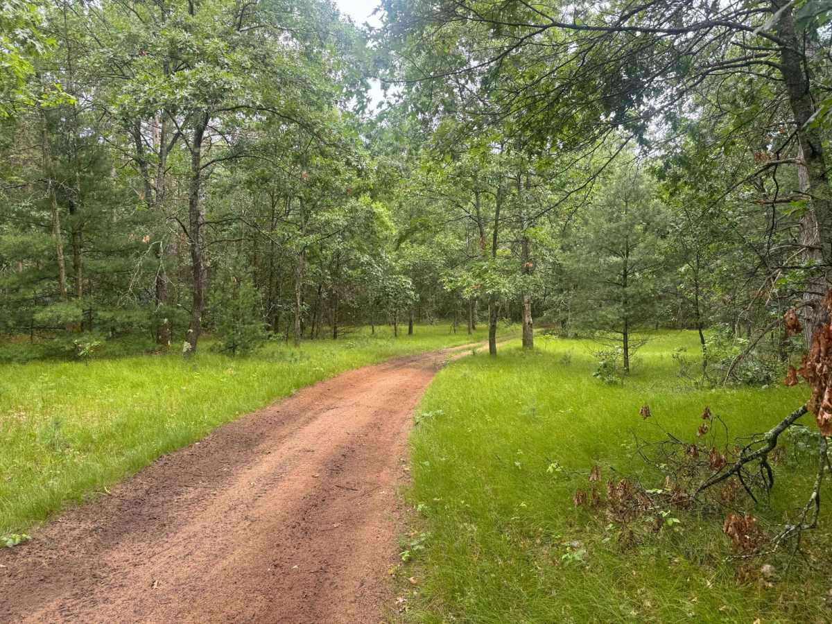 Forest Route 9188 trail photo