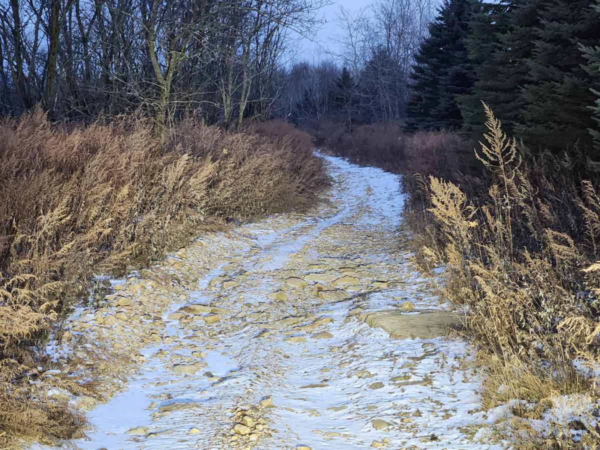 Flat Rock - Green - Rock Run Recreation Area photo 3